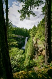 Scenic view of a tall waterfall amidst lush green forest in Canada, perfect for nature and travel enthusiasts.